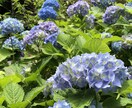 とにかく話を聞いてほしい方、私がお相手します 一人暮らしの方大歓迎！愚痴、自慢話などなんでも聞きます！ イメージ3