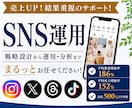 丸投げOK！売上につながるSNS運用します 戦略設計から分析・改善までまるっとサポートします イメージ1
