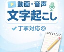 動画／音声の文字起こしします 面倒な文字起こし、代わりにやります！ イメージ1