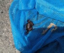 北海道旅行を考え中のあなたへモデルコースを考えます 現地民おすすめの穴場スポットもご紹介していきます！ イメージ5