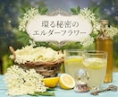 2026 夢診断 気になる夢の意味を占います あの夢は何だろう?不思議な夢や、何度も見る夢など解析します! イメージ1
