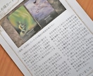 気になることへの答えをカードからもらいます 500字前後＆画像付きの鑑定書でシンプルにお答えします イメージ3