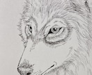 モノクロペンで描く、犬専門の似顔絵描きます 大切なご家族をペン画で一枚一枚、心を込めて手描きします。 イメージ1