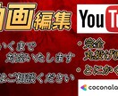 編集に時間かけたくない簡単な動画編集早く済ませます テロップやBGM挿入、難しい編集要らないから安く済ませたい イメージ1