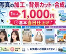 1カットOK！写真加工・背景カット・合成しますます 一つ一つの作品を丁寧に作業する事を心がけています。 イメージ1
