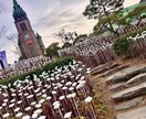 風景写真の写真提供を行います 韓国在住の私が韓国でしか撮れない風景写真を提供します！ イメージ4