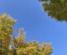 秋の風景写真、5枚→10枚提供します 加工、商用利用OK！各種静止画投稿・動画の背景に使えます イメージ8