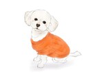 お写真を元に線画イラストを描かせていただきます 写真もいいけど、イラストでしか出せない魅力を〜 イメージ1