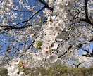 死別経験者のセラピストが、悲しみに寄り添います 誰にも話せず、1人で抱えた悲しみを安心してお話しください。 イメージ4