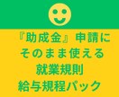 助成金対応の就業規則・賃金規程を整備します 助成金と労務リスクに強い就業規則を一括整備 イメージ1