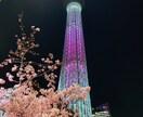 寂しい人寄り添います 寂しい時誰かと話したくなりませんか？甘えたくなりませんか？ イメージ3