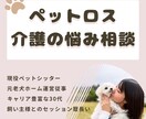 ペットロスやわんこの介護疲れ等 電話相談 承ります 元老犬ホーム運営スタッフ、老犬介護特化型シッターが伺います イメージ1