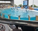 今のお悩みを癒すお手伝いをします AI とタッグを組んで占いを実施しています イメージ1