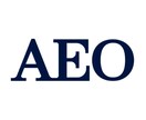 AEO対策！企業の生死を分けるAI新集客戦略します 30月間AI対策！AEO・GEOの覇者だけが未来の顧客を独占 イメージ1