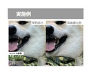 画像の高画質化を行います ボヤけた画像や小さい被写体もクッキリさせます イメージ3
