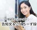 告知文の悩みを解消！こくちーず集客術を全公開します 穴埋め式で超簡単！イベント満席の魔法の書き方教えます イメージ2