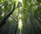 あなたを守る神様を鑑定致します 。「本来のあなた」の姿をご縁ある神様の姿から見てみませんか？ イメージ1