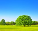 エッ⁈私なんかしたの？あの人の地雷5つ❗️教えます 先に知ってると事故らない！！相手の地雷ポイント5つ（爆） イメージ8