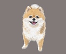 写真から犬の似顔絵を描きます お気に入りの表情の「ワンちゃんの写真」から似顔絵を描きます イメージ3