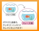 画像からAiデータを生成します ぼやけた画像が蘇る！丁寧にAIデータ作成・トレース承ります イメージ3