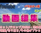 oomikami7777さん限定、動画編集します 現役テレビマンが「おもろい」を追求した動画を作成！ イメージ1