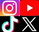 YouTube再生数を伸ばすための支援を行います 先着20名様モニター価格でご提供！是非お試しください！ イメージ8