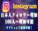 Instagramの日本人フォロワーを増加します Instagramの日本人フォロワーを100人増加します イメージ1