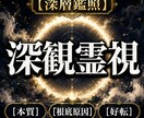 深観霊視であらゆる悩みの根源に光を当てて、導きます 魂の巡りと滞りに光を当て、現実を動かし本来の運命へ書き換える イメージ1