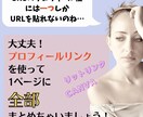 リットリンク・CANVAでリンクページ♡作ります 低価格でオシャレな貴方だけのプロフィールリンク作りませんか？ イメージ2