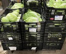 有機農業に興味のある方の就農相談、栽培相談をします 就農４年で売上2500万円越えの有機農家が相談に乗ります。 イメージ4