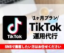 3名様限定｜お客様の目的達成まで低価格で運用します TikTok運用のプロが全てのノウハウを使って伸ばします イメージ1