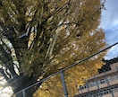 アドラー心理学を用いカウンセリングを致します 人間関係、人の目が気になってしょうがない人 イメージ1
