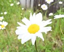 友達感覚で色々聞きます なんでも話しましょ♩聞いてほしい人おいでー♩ イメージ1