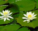 人生の棚卸しであなたの強みを見つけます イメージ3