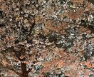 モテるInstagramのプロフィールを作ります 垢抜けないInstagramのプロフィールを卒業しよう！ イメージ1