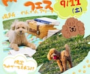 Canvaで目を引くイベントチラシ作成します 調理師経験も活かして伝わるチラシを制作致します。 イメージ2
