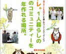 プロのデザイナーがA3広告15000円で作成します プロが作る説得力のある販促物でビジネスを積極的に広げましょう イメージ3