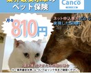 SNSや広告で使えるバナー画像作成します 低価格1500円！誠実に対応いたします！ イメージ2