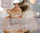 あの人はどう想ってる？悩みの種を深く詳細に占います ボリューム鑑定！タロット×ルノルマン×オラクルで多角的に鑑定 イメージ1