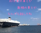眠れない満たされないさみしい時間に電話で癒します あなたの心を穏やかにどんな悩みも満たして差し上げます イメージ3