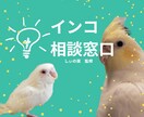 インコの飼育全般の相談にのります バードライフアドバイザー&先生の免許ありのママがアドバイス！ イメージ1