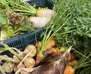 移住相談に乗ります いつか移住したい、でも、、、の不安を一歩前進させる イメージ2