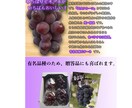 yahooショッピングサイト構築します 複雑な事務手続きのいるショッピングサイトを構築しませんか イメージ2
