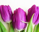 恋愛成就鑑定／これからのご縁を結びます ✿あの人の特別になる✿ 可能性/相性/時期/遠距離 イメージ6
