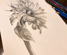 模写、まんが、デザイン等基本なんでも描けます オリジナルイラスト、既存キャラの模写など幅広く製作します イメージ6