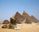 ジャケ写や写真の加工、撮影承ります 経験：写真大学生　スキル：Photoshopでの加工や撮影 イメージ10