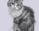 犬、猫などペット似顔絵描きます ネコちゃん、ワンちゃん他オーダーメイド、手描きの肖像画 イメージ4