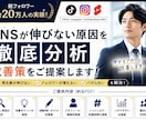 伸びない原因を特定して改善します 総フォロワー20万人の独自のノウハウでバズるを当たり前に イメージ1