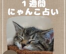 1週間にゃんこ占い！10名限定で占います 読むだけで心がほぐれるにゃんこ流アドバイスで前向きに♪ イメージ1