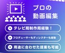 限定価格！元テレビ局員！動画編集承ります プロデューサー・ディレクター経験者 イメージ1